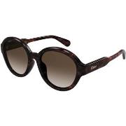 Lunettes de soleil Chloe CH0156SK Lunettes de soleil, Havana/Marron, 5...