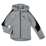 Sweat-shirt enfant Puma EVOSTRIPE CORE FZ HOODIE