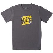 T-shirt DC Shoes Peel It Photo