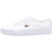 Baskets basses Lacoste ZIANE PLUS