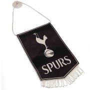 Accessoire sport Tottenham Hotspur Fc TA12657