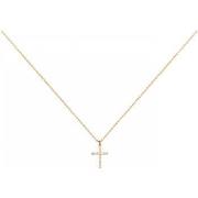 Collier Phebus Collier Femme