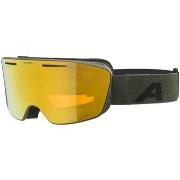 Accessoire sport Alpina -