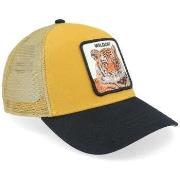 Casquette Goorin -