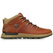 Baskets Timberland Sprint Trekker Mid Lace Sneaker