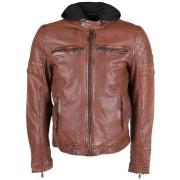 Blouson Redskins Blouson Ryde Barcelona Ref 54075 cognac