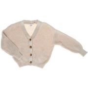 Pull enfant Gap 429506-001