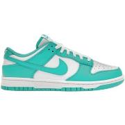 Baskets Nike Dunk Clear