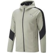 Sweat-shirt Puma 849919-68