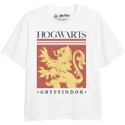 T-shirt enfant Harry Potter TV1970