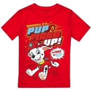 T-shirt enfant Paw Patrol Pup Fired Up