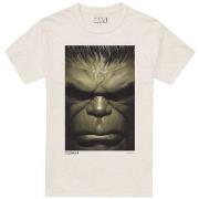 T-shirt Hulk TV2213