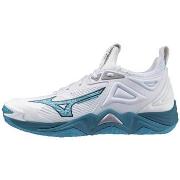 Chaussures Mizuno Wave Momentum 3