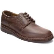 Derbies Comodo Sport -