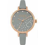 Montre Daisy Dixon Montre Femme DD083ERG (Ø 36 mm)