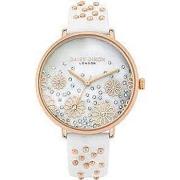 Montre Daisy Dixon Montre Femme DD111WRG (Ø 38 mm)