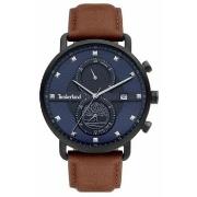 Montre Timberland Montre Homme TDWGF2101003