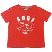 T-shirt enfant Bear -