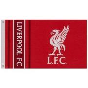 Accessoire sport Liverpool Fc SG20005