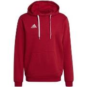 Veste adidas adidas Entrada 22 Sweat Hoodie