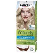 Soins cheveux Palette NATURAL tinte 12.1-rubio extra claro ceniza 1 u