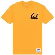 T-shirt Berkeley University Of California