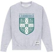 Sweat-shirt Cambridge University PN513