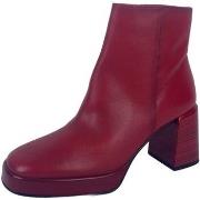 Bottes Hispanitas -