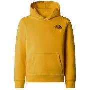 Pull The North Face Redbox Regular P/O