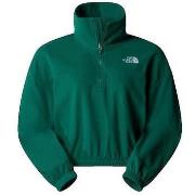 Polaire The North Face 100 Glacier Fleece