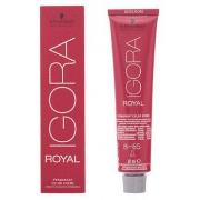 Soins cheveux Schwarzkopf IGORA ROYAL 8-65