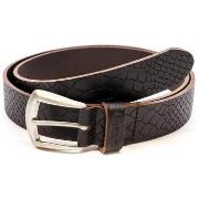 Ceinture Von Dutch VD-LCCATTYH24