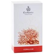 Parfums Carthusia Parfum Unisexe 100 ml