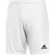 Short adidas Ent22 Sho White