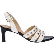 Chaussures escarpins Geox D828YF 000HH D CELEINA