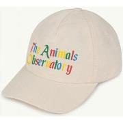 Casquette enfant The Animals Observatory F21140