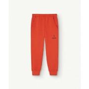 Pantalon enfant The Animals Observatory F23124