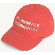 Casquette enfant The Animals Observatory S21183-03