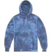 Sweat-shirt Etnies TEAM EMBROIDERY WASH HOODIE BLUE