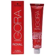 Colorations Schwarzkopf Igora Royal 0-89