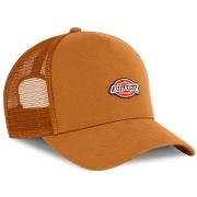 Chapeau Dickies -