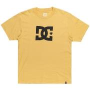 T-shirt DC Shoes DC Star