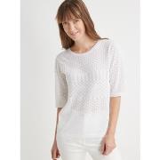 Pull Daxon by - Pull maille encolure ronde