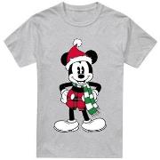 T-shirt Disney TV3413