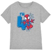 T-shirt enfant Marvel TV4086