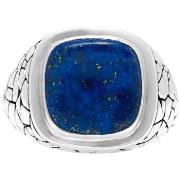 Bijoux Orusbijoux Bague En Argent Homme écaille Pierre Lapis