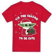 T-shirt Star Wars: The Mandalorian Tis The Christmas Season