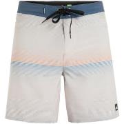 Maillots de bain Quiksilver Surfsilk 18"