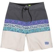 Maillots de bain enfant Quiksilver Everyday Panel 17"