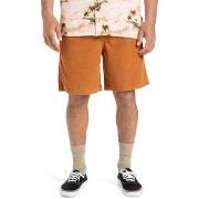 Short Quiksilver Taxer 18"